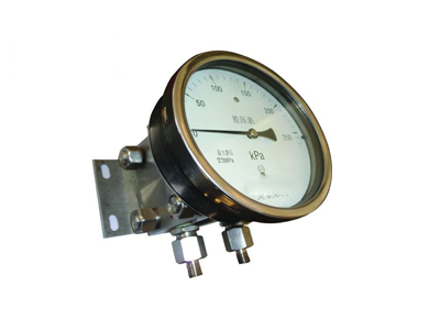 YCA-100雙膜片式高靜壓差壓表